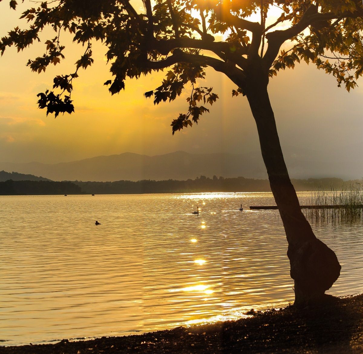Lago di Varese - all'ombra dell'ultimo sole