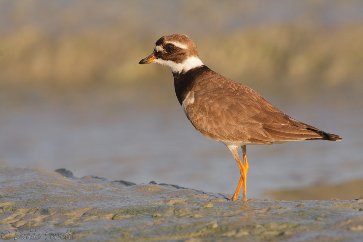 Is there something wrong?