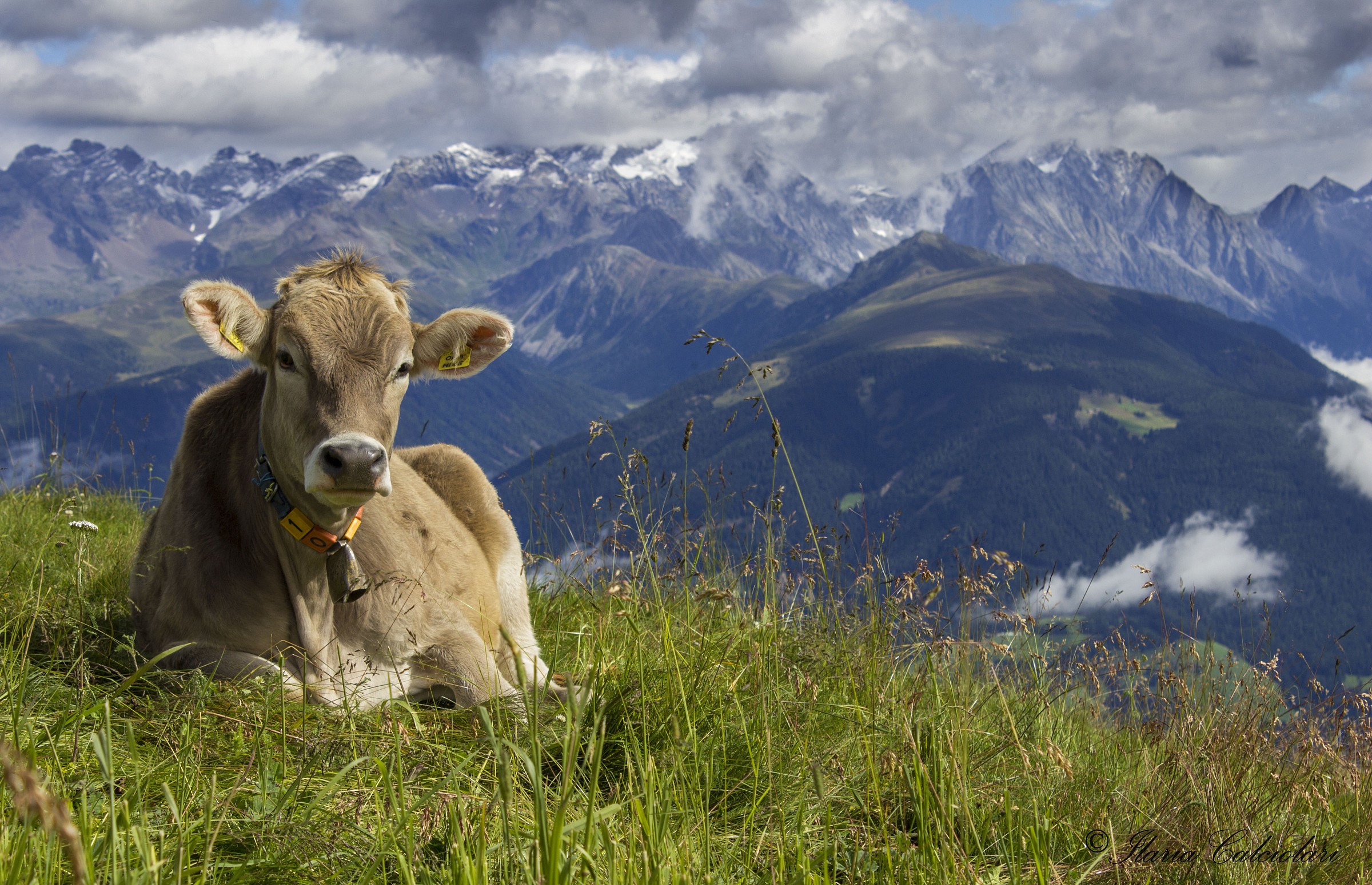 Meetings at high altitude