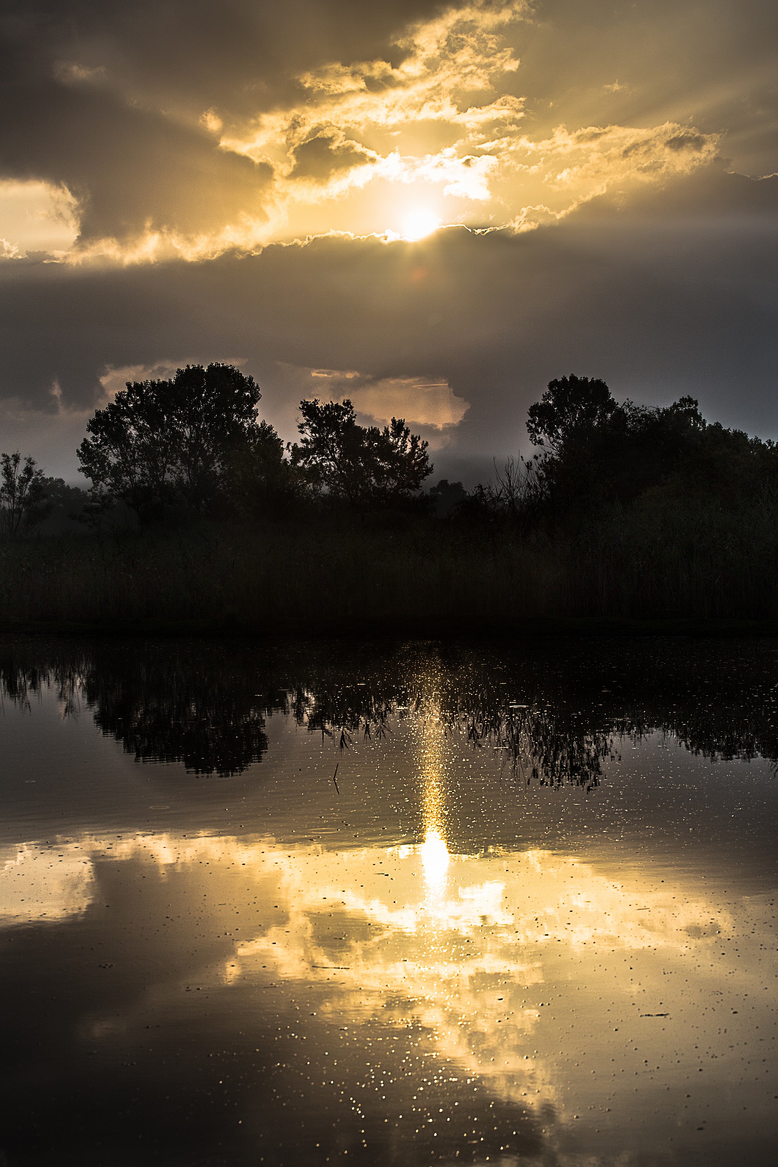 Sunset in the Marshes