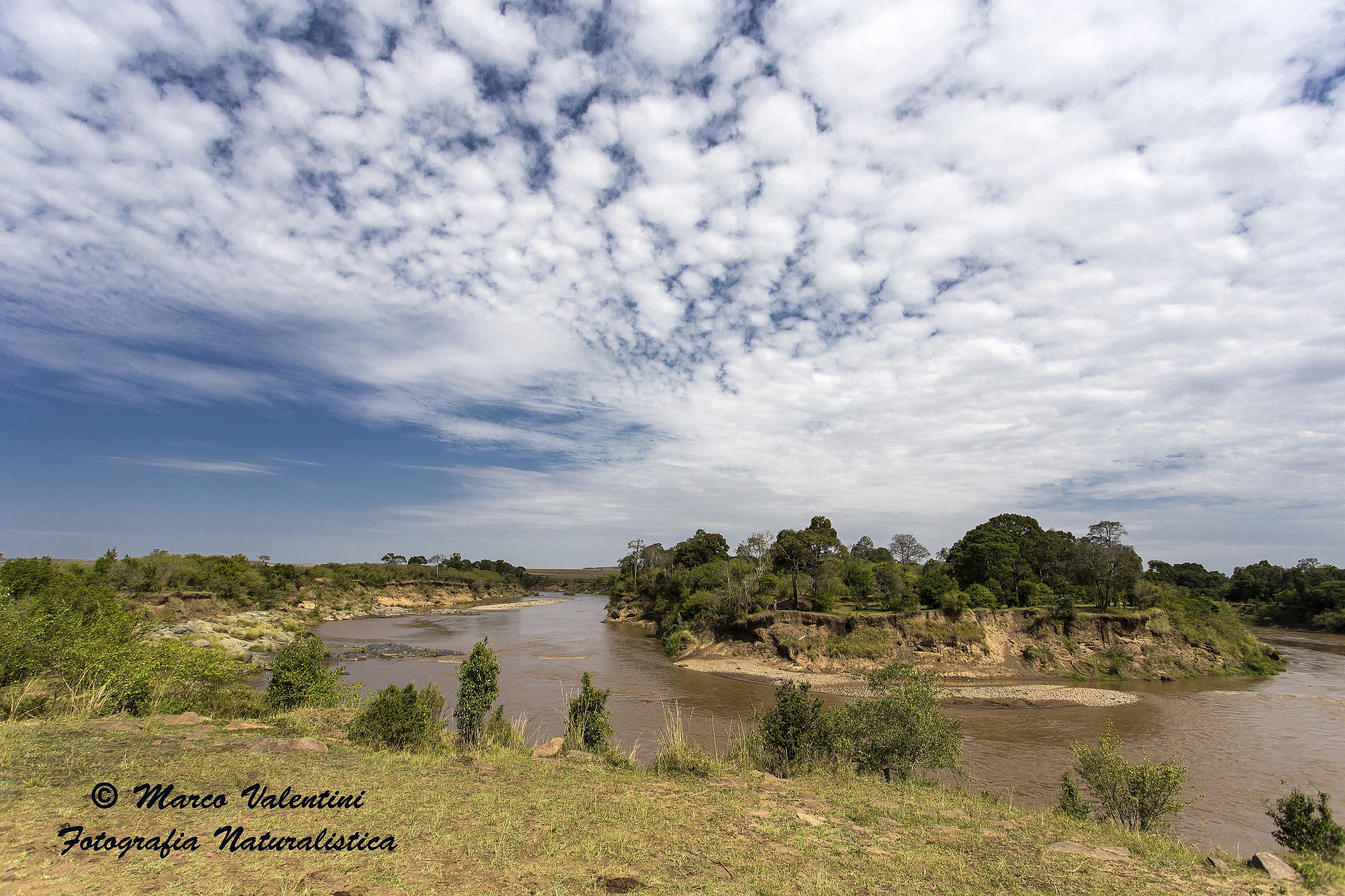 The Mara River