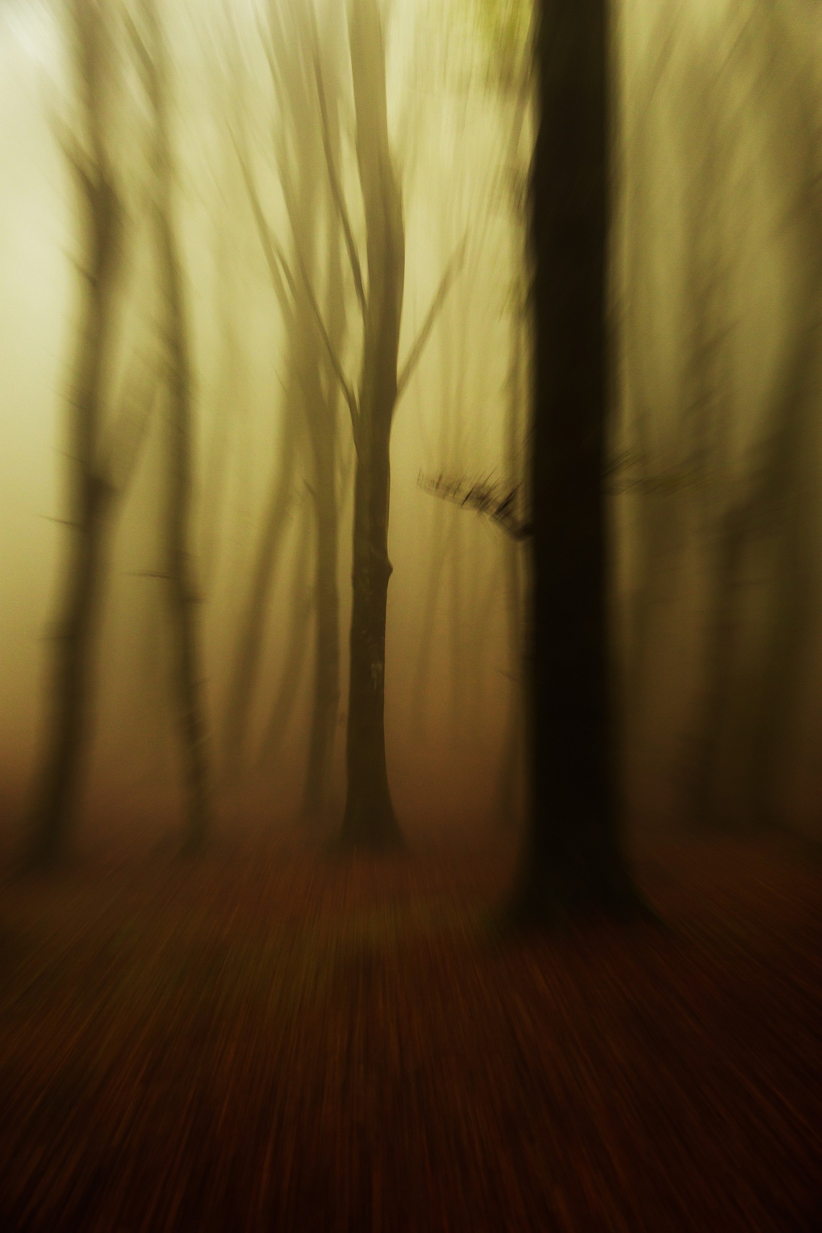 Suggestioni d'autunno