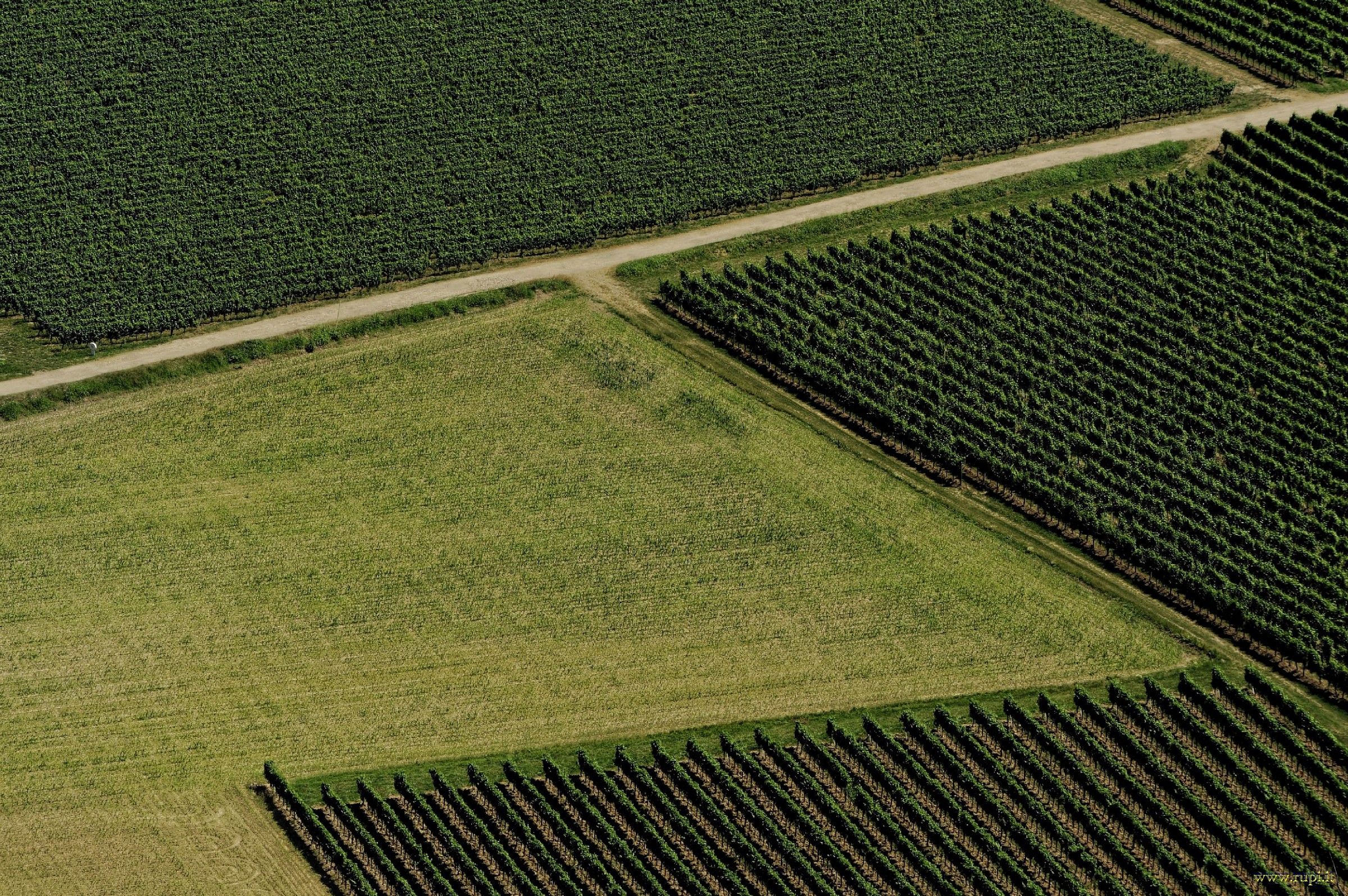Campi e vigne di Franciacorta - 01