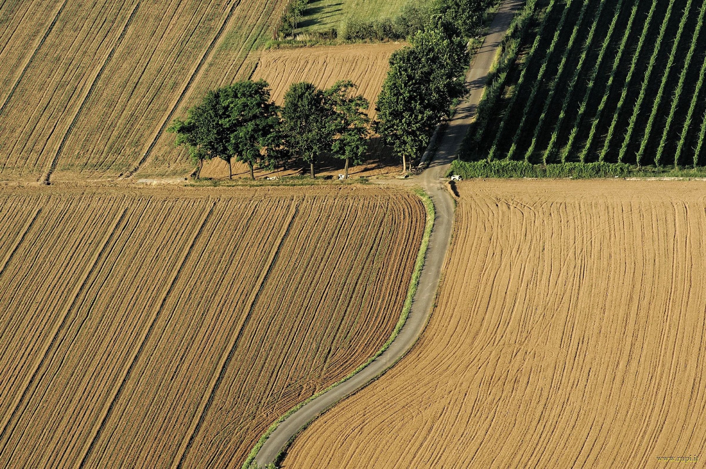 Campi di Franciacorta - 03