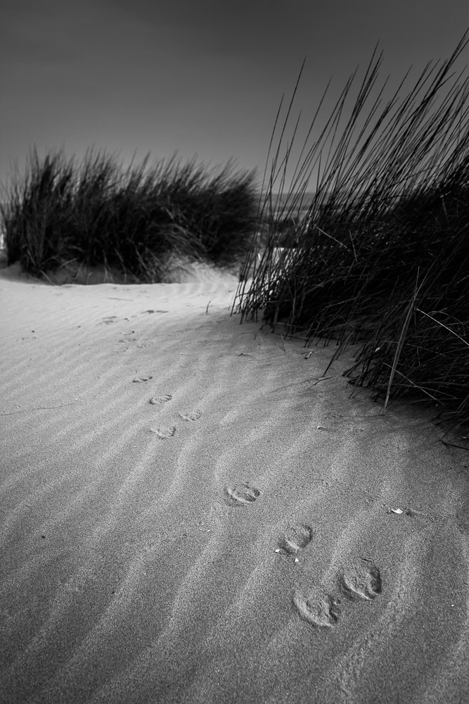 Dune in inverno