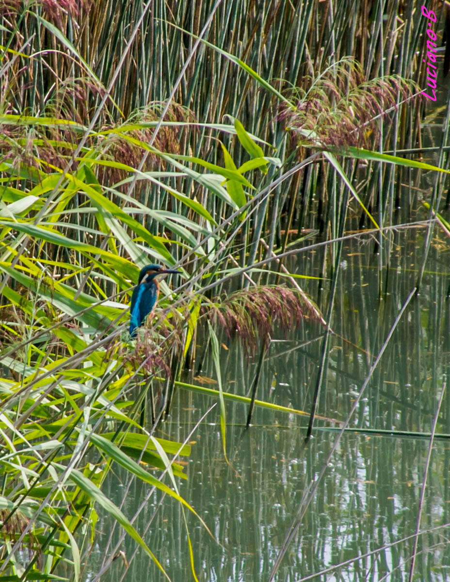 MR. Martin in attesa