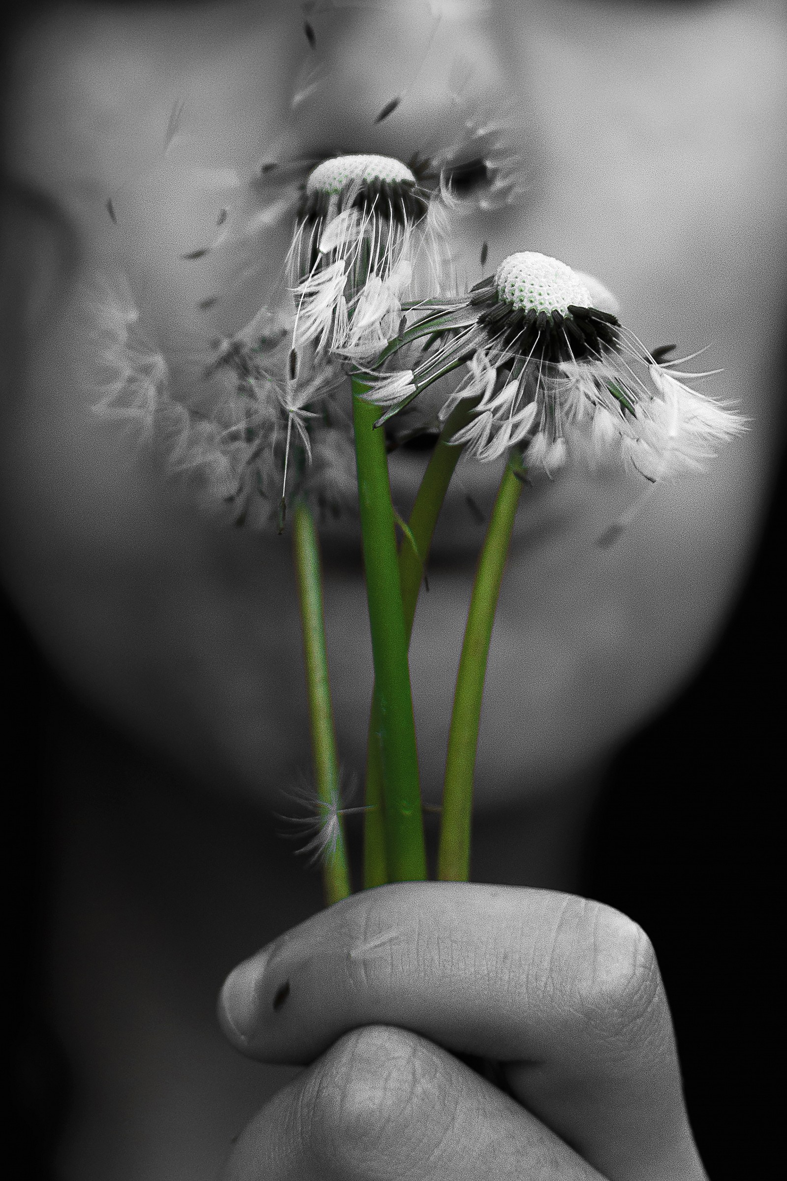 The magic of a breath