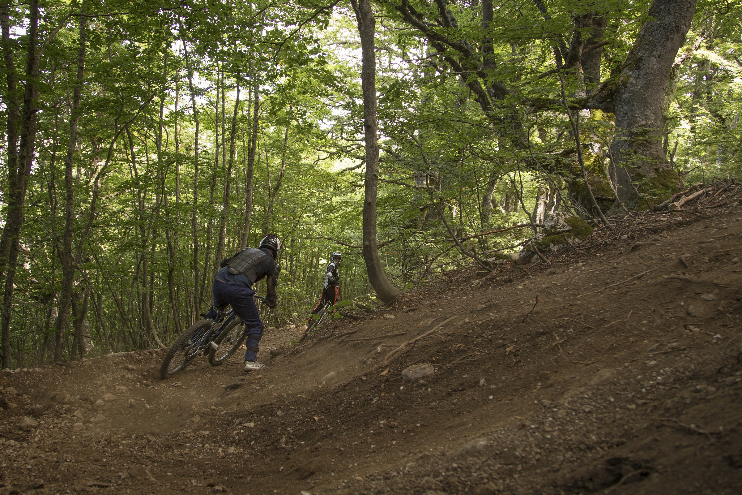 Downhill - Bike Park