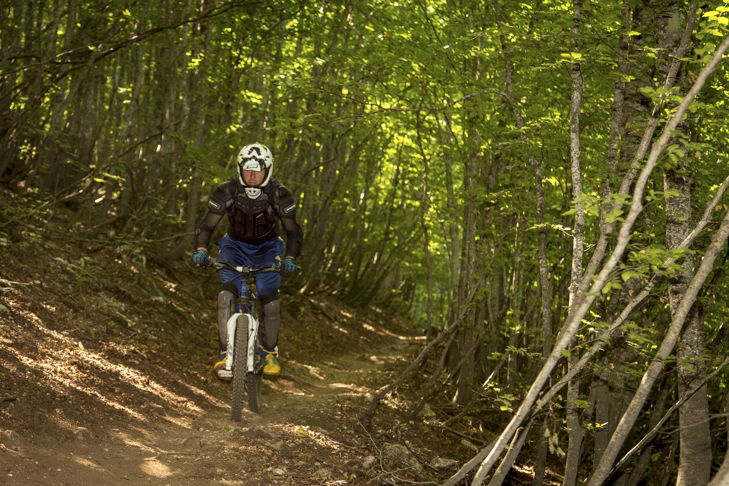 Downhill - Bike Park