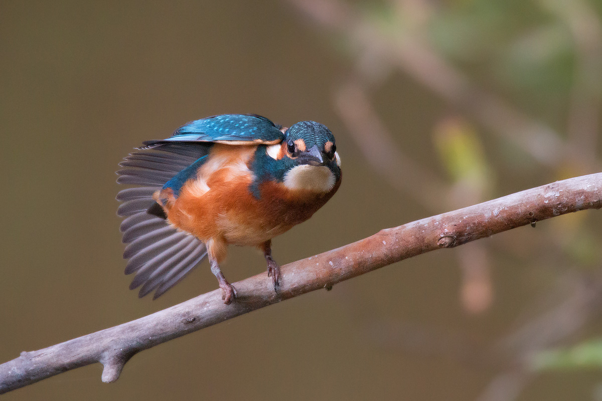 Stretching pomeridiano