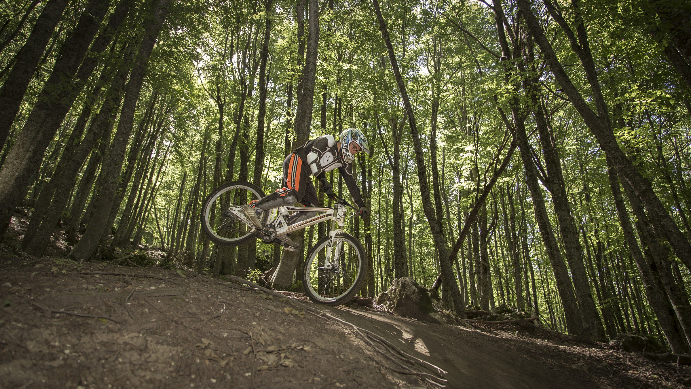 Downhill - Bike Park