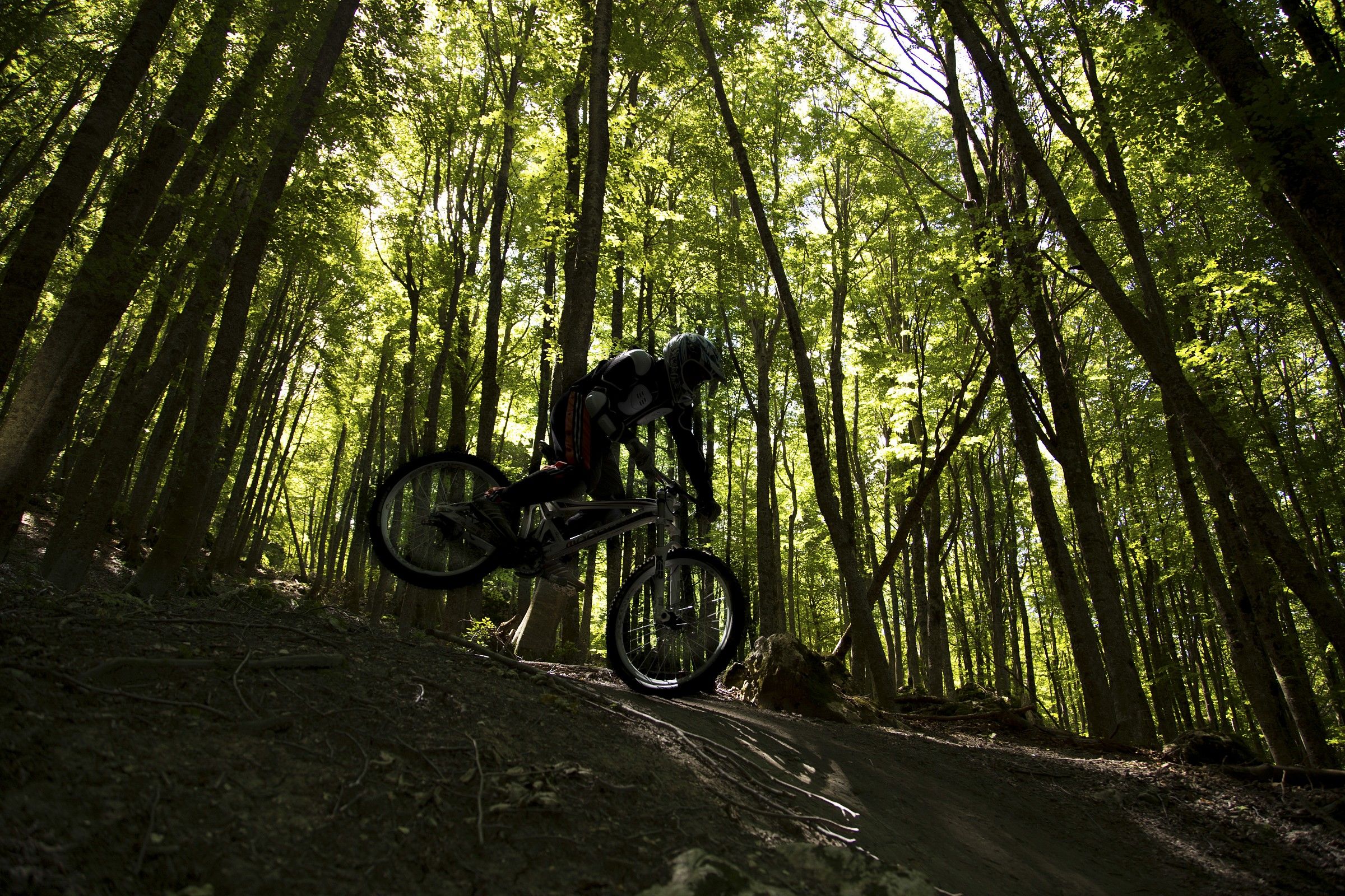 Downhill - Bike Park