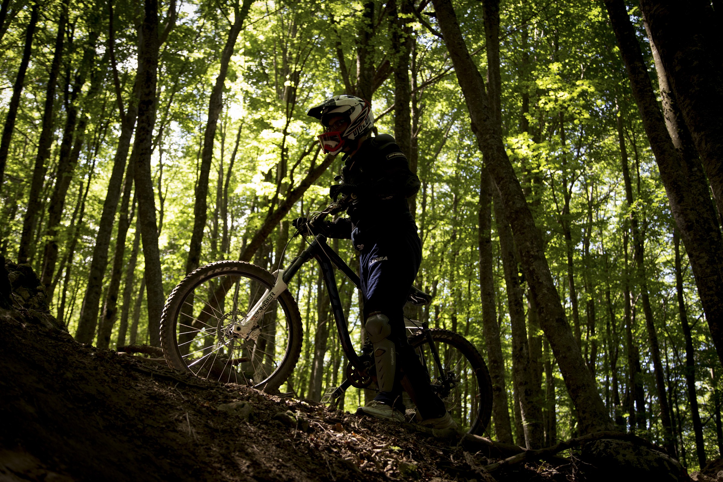 Downhill - Bike Park