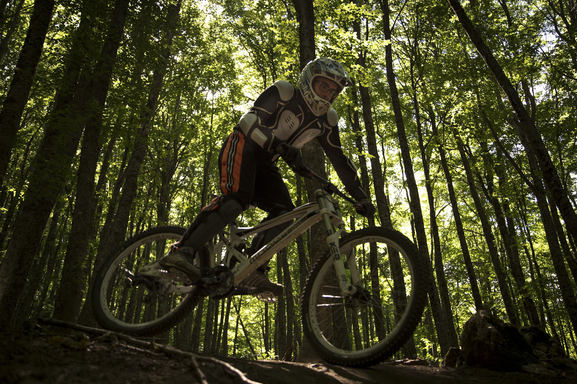 Downhill - Bike Park