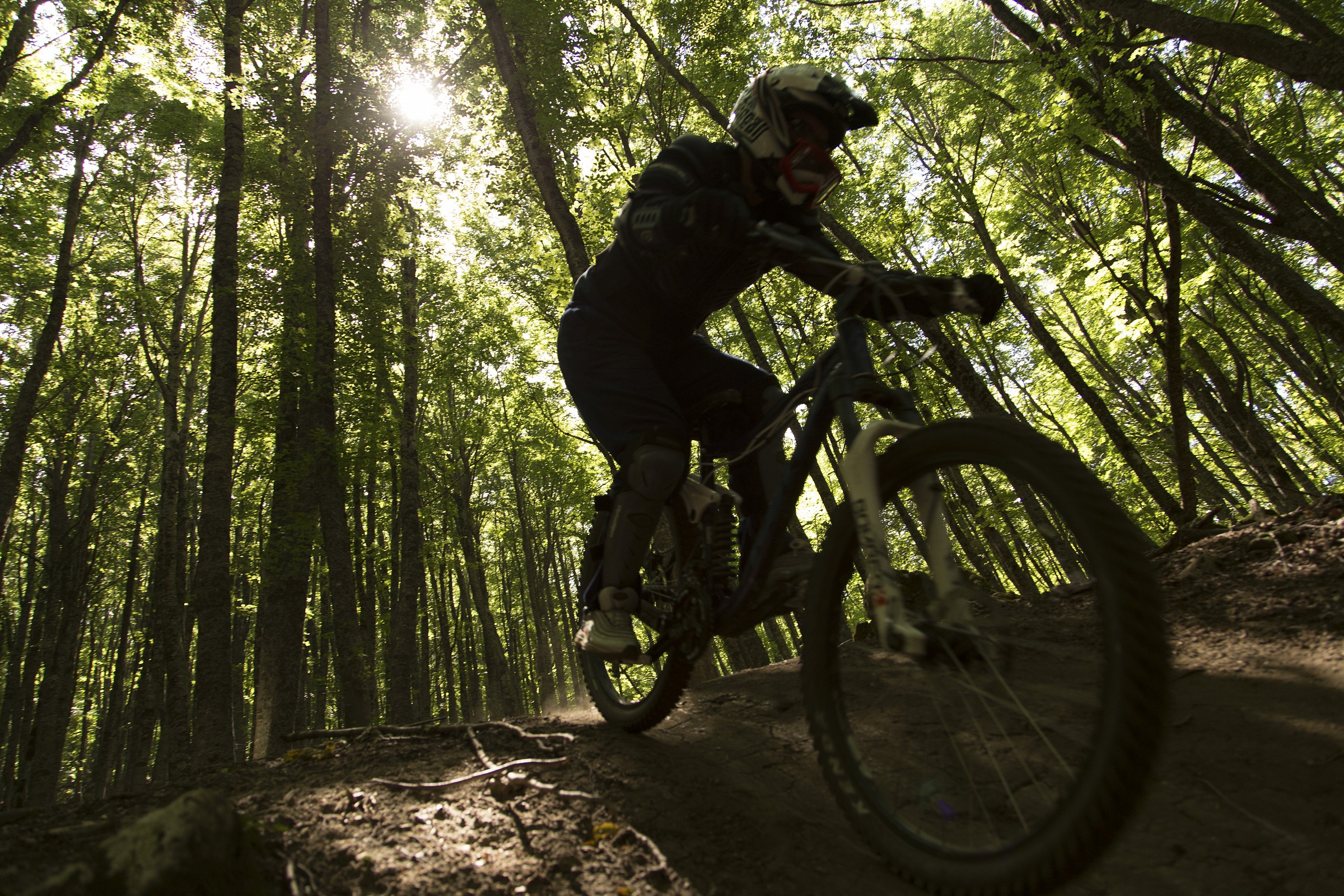 Downhill - Bike Park