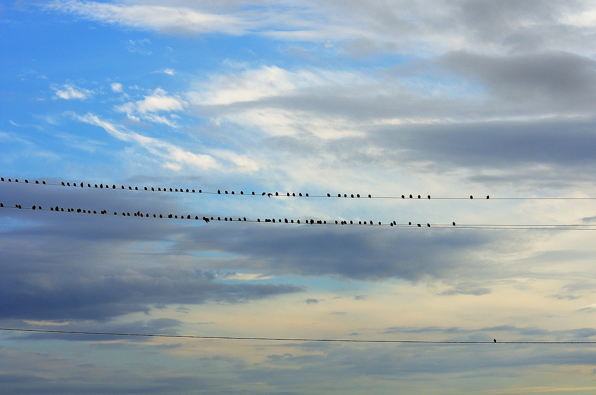 I'll be what I am, A solitary man, A solitary man