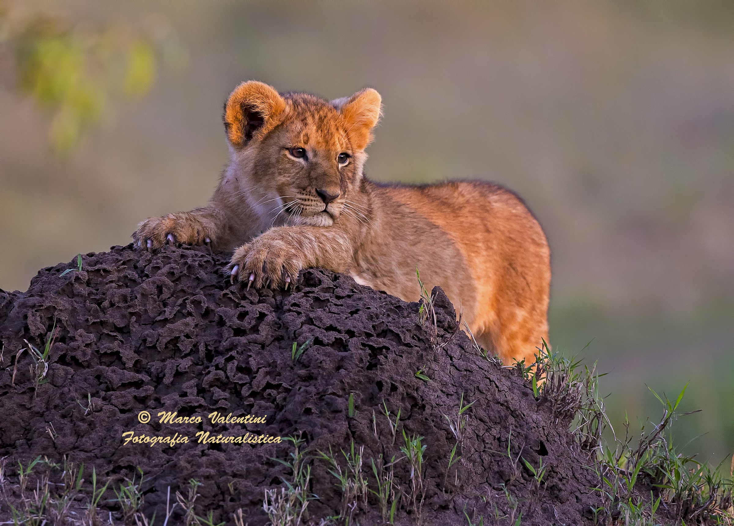 And now what do I do?