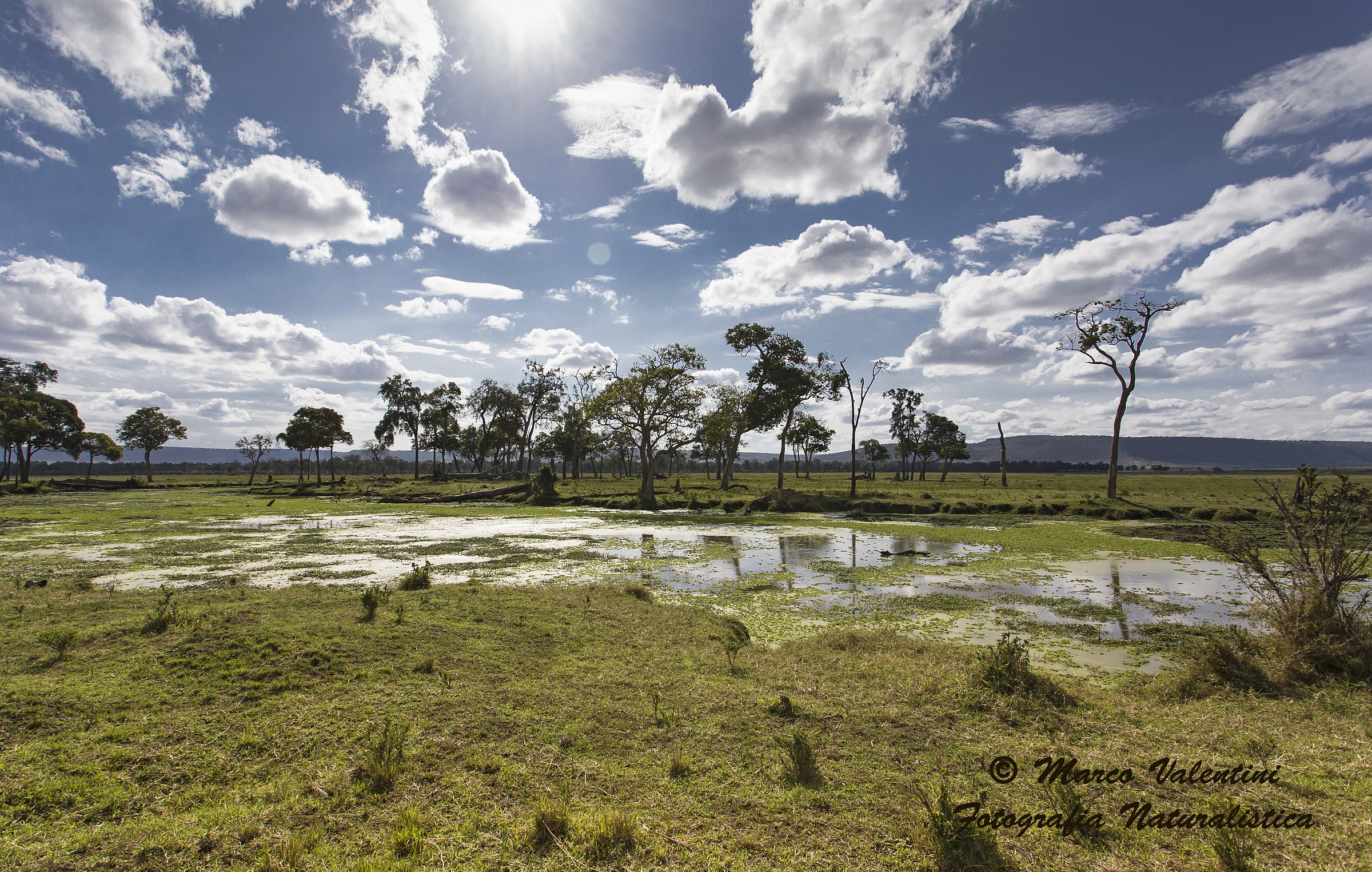 Mara marshes