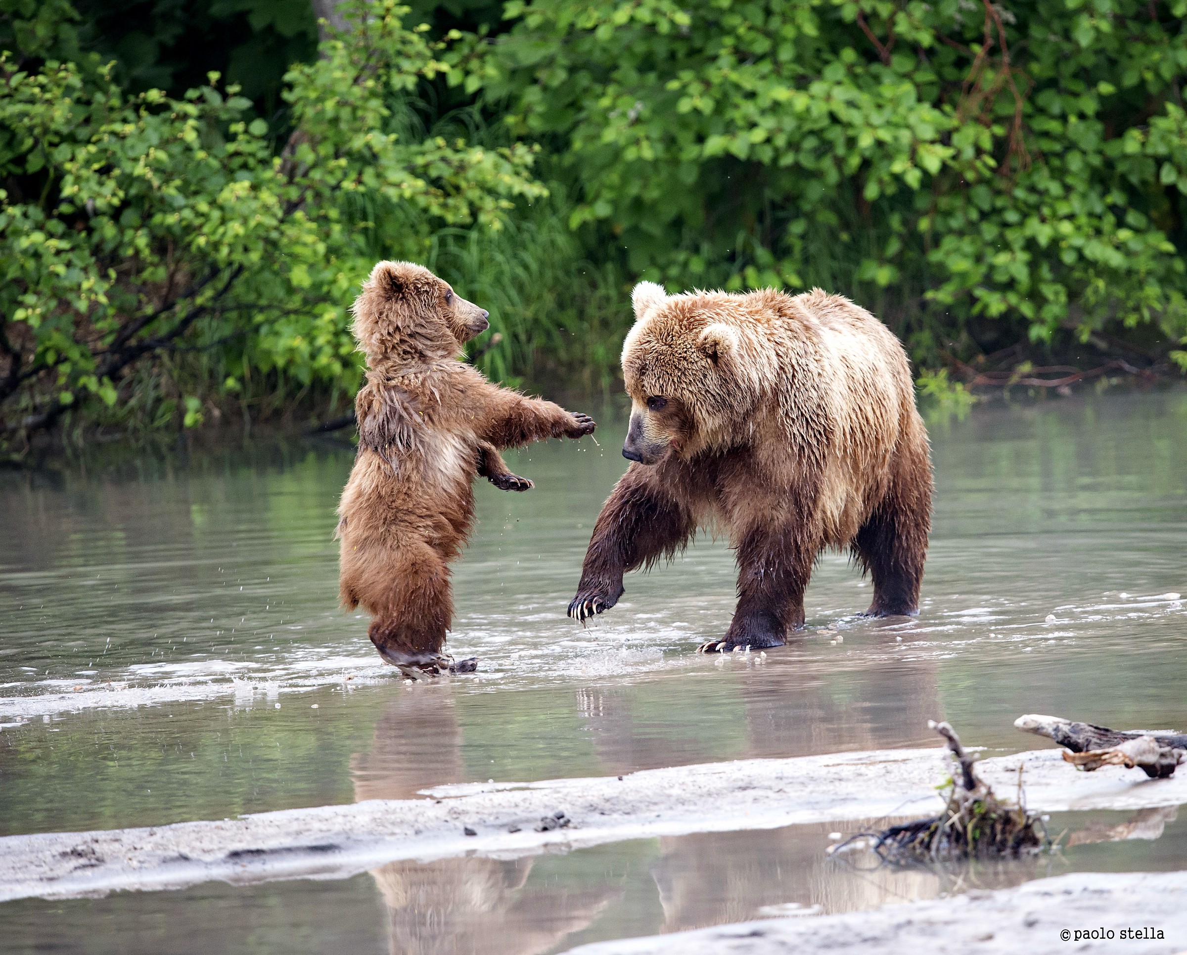mom ... play with me ....
