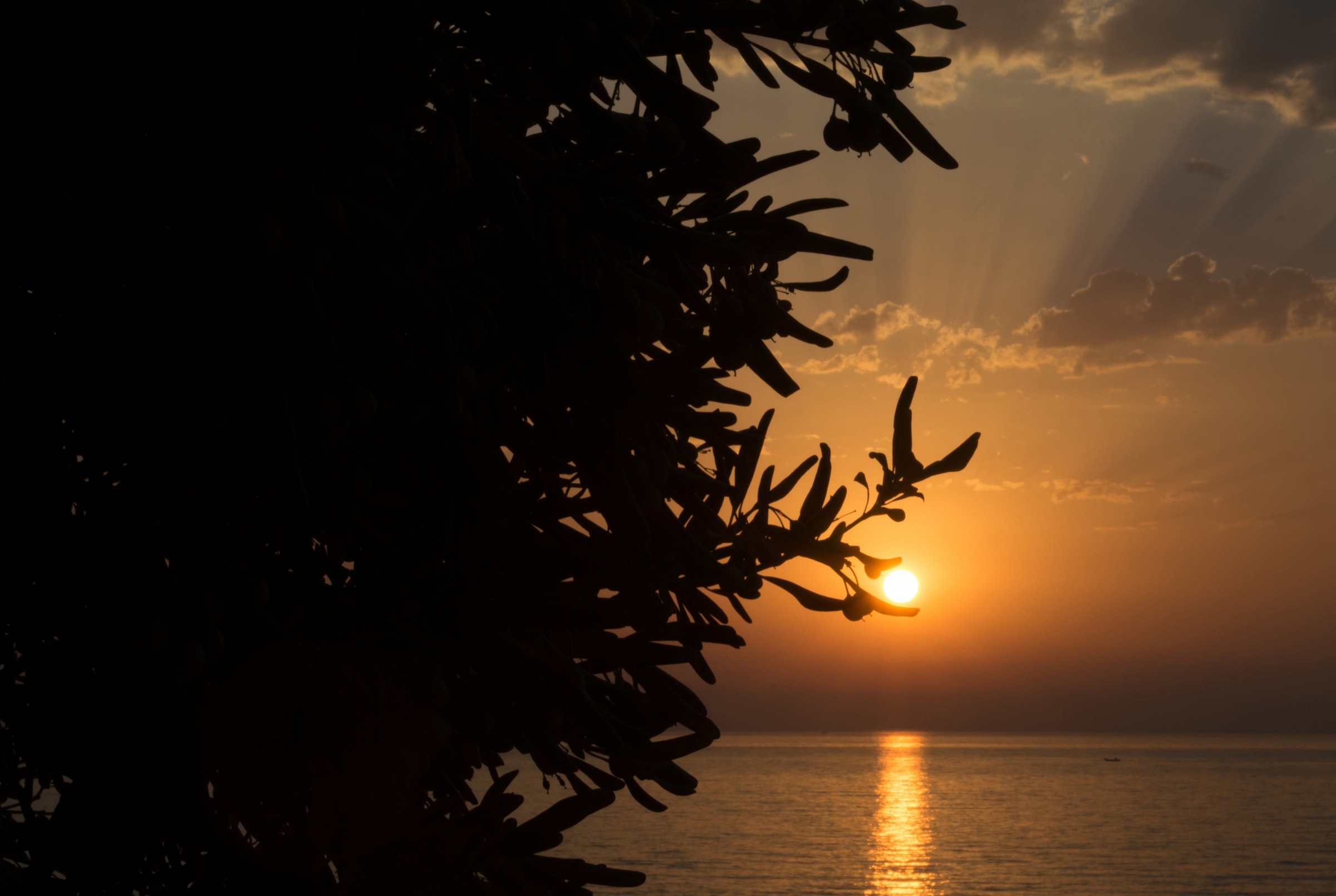 The Embrace of Nature