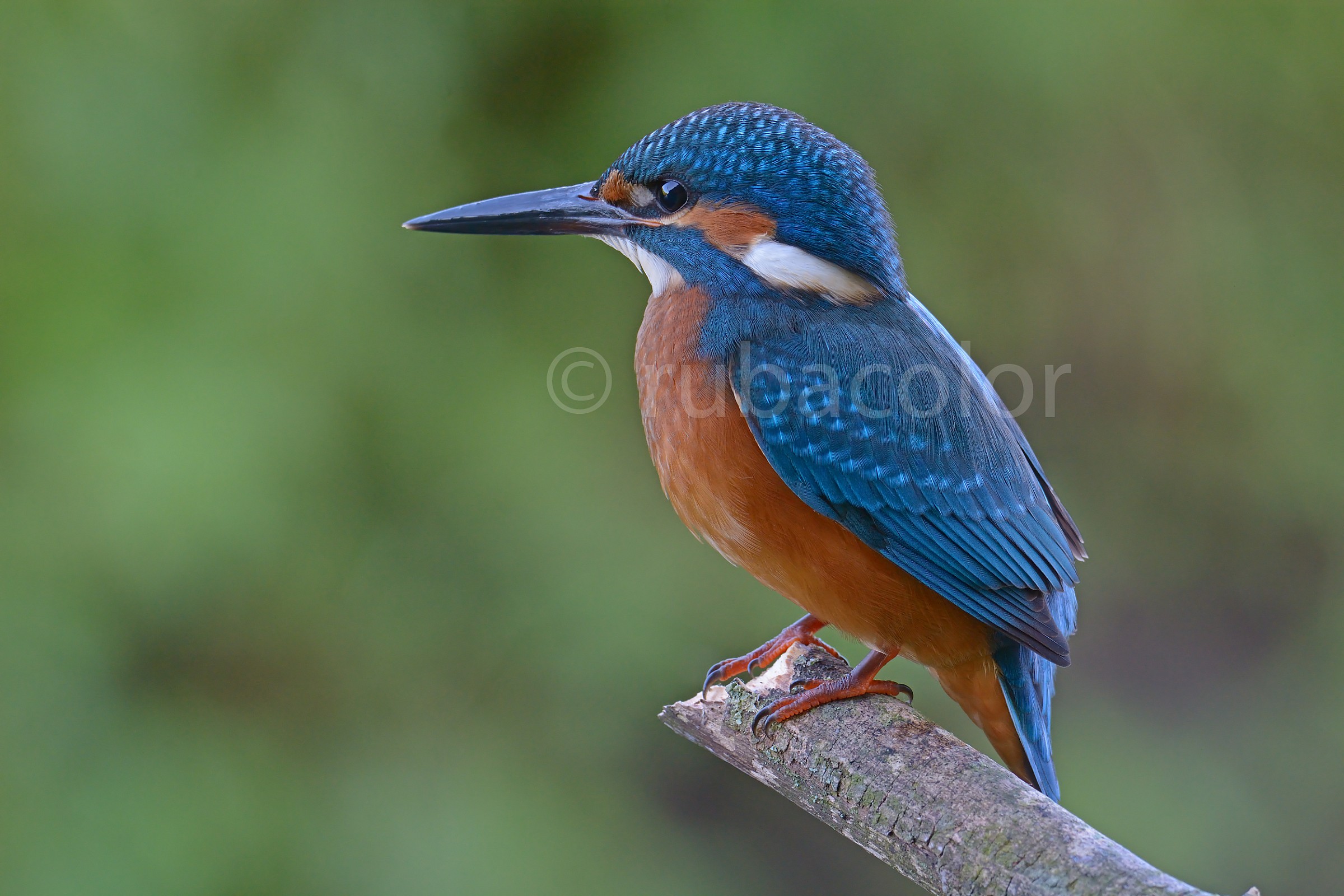 Sotto le nuvole di questa strana estate