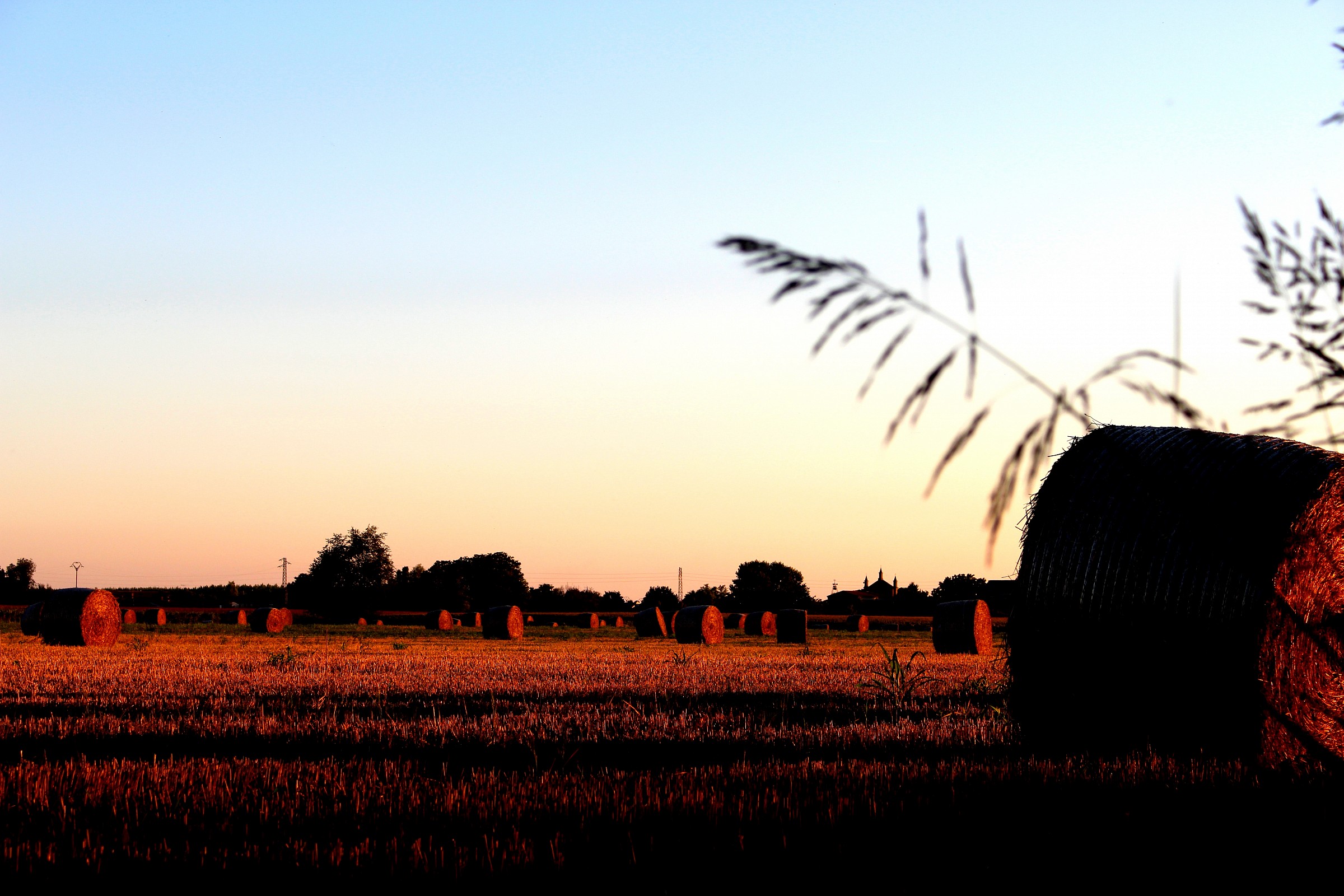 Tramonto in campagna