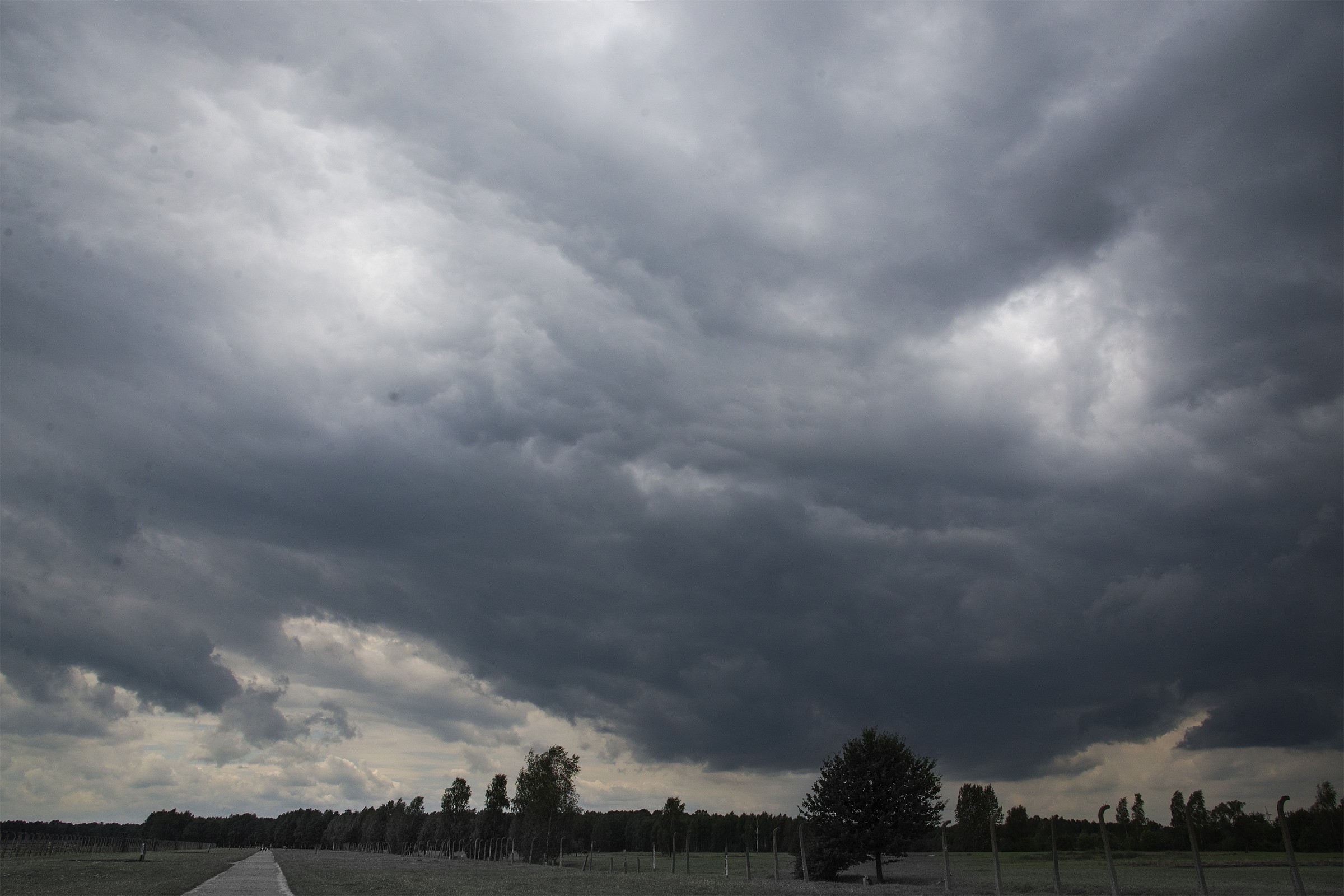 Il cielo su Birkenau