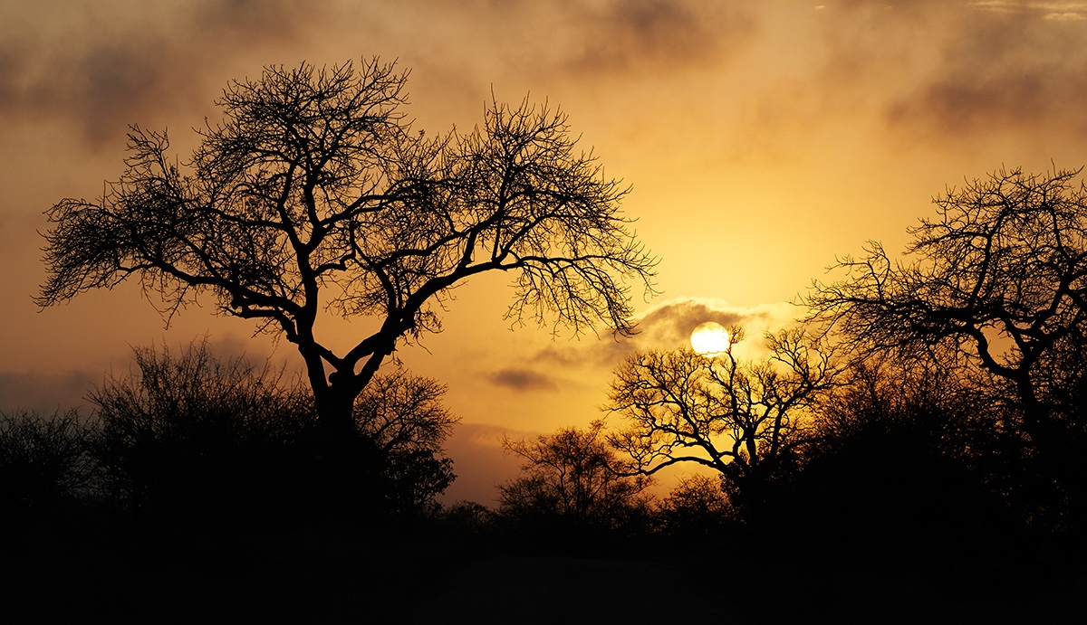 Sunset at Kruger