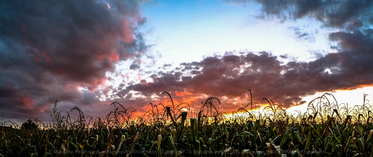 blowing your arm is burning!