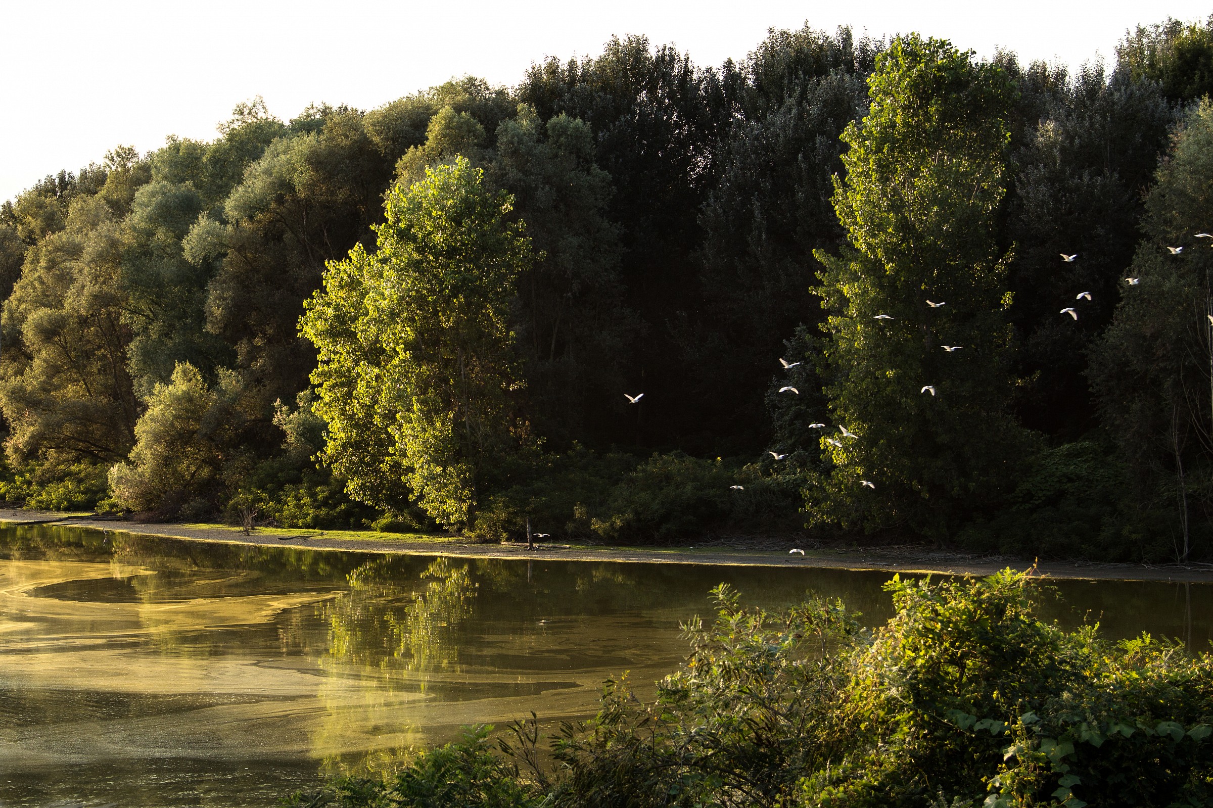 In flight after bathing