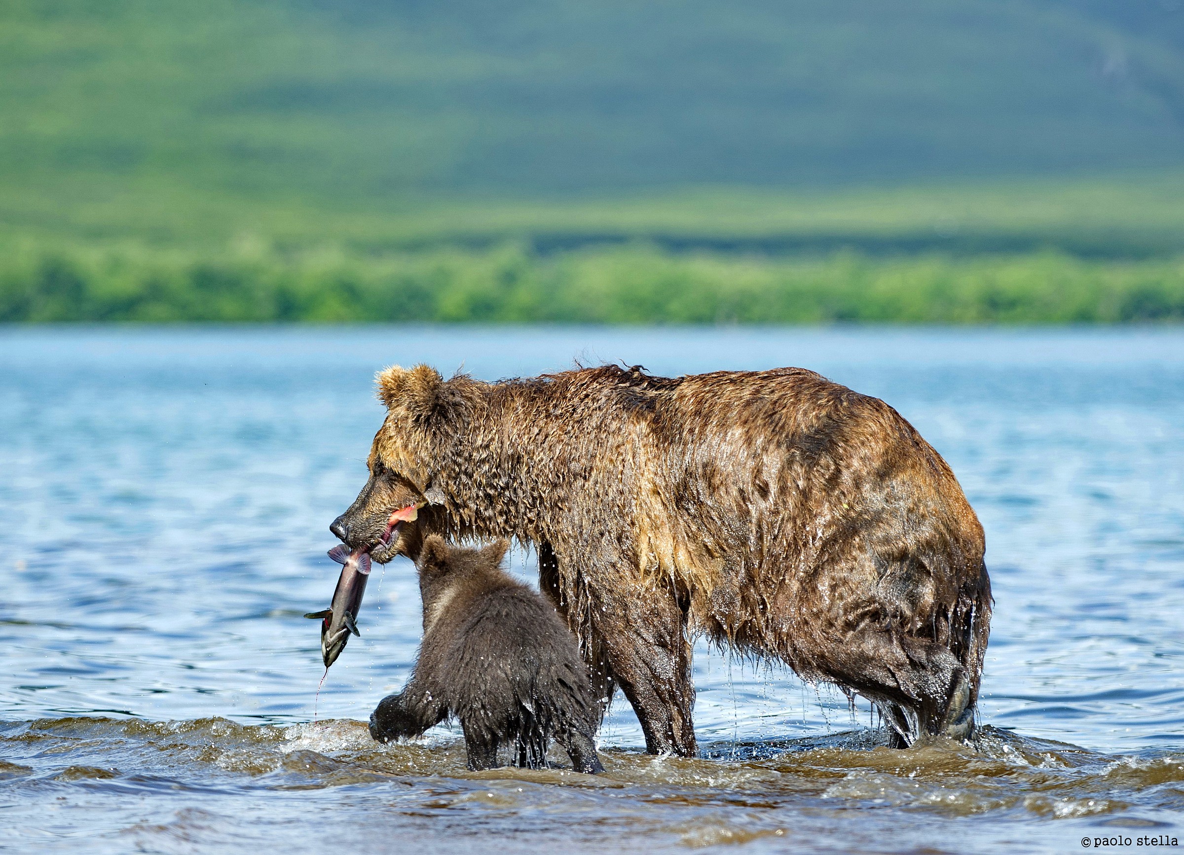 good mother !! (I'm so hungry ...)