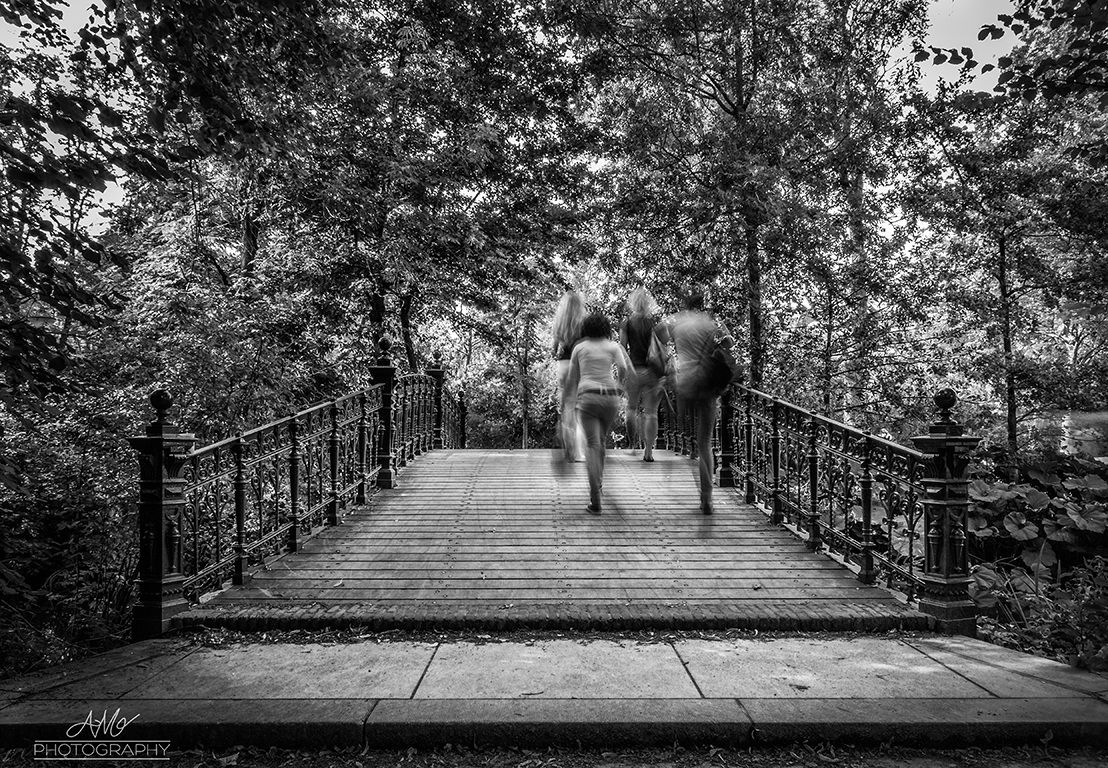 Bridge in the Vondelpark