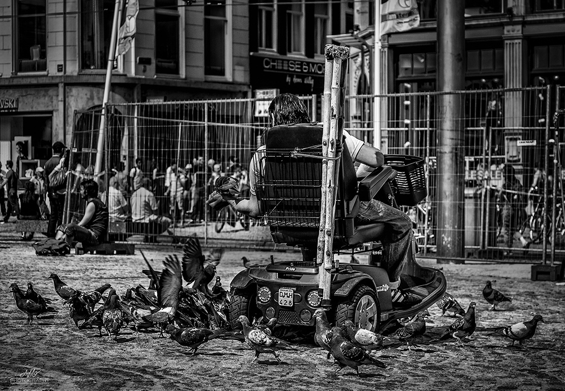 The tamer of pigeons in Dam Square