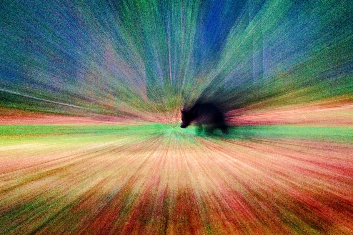 Extrem color explosion