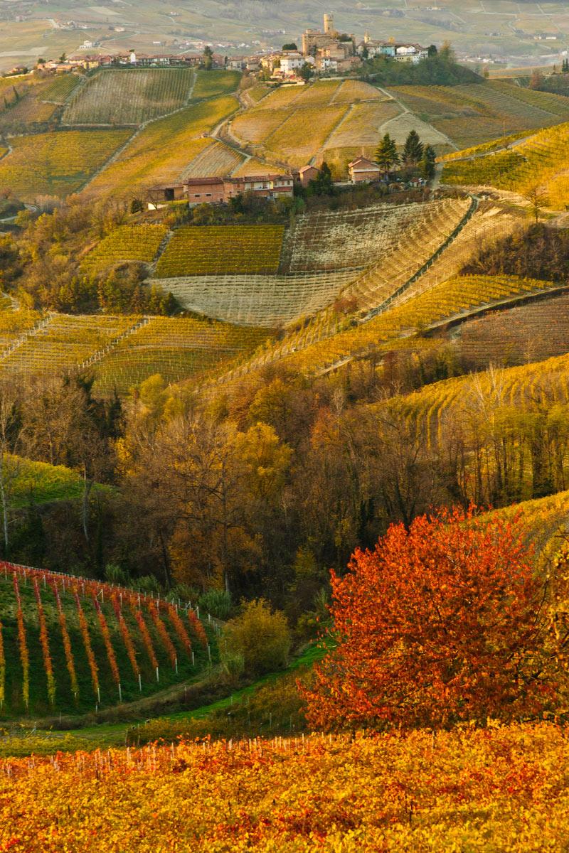 Autunno nelle Langhe.