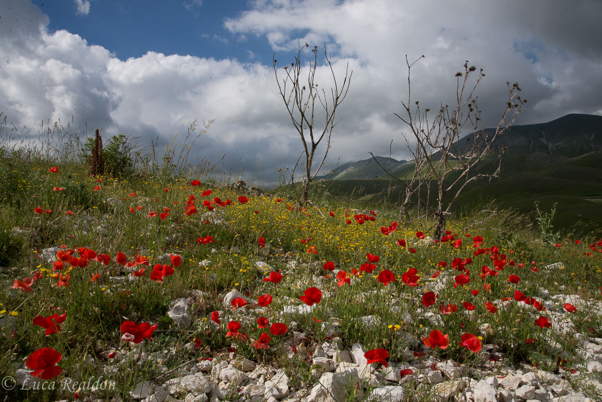 Castelluccio#2