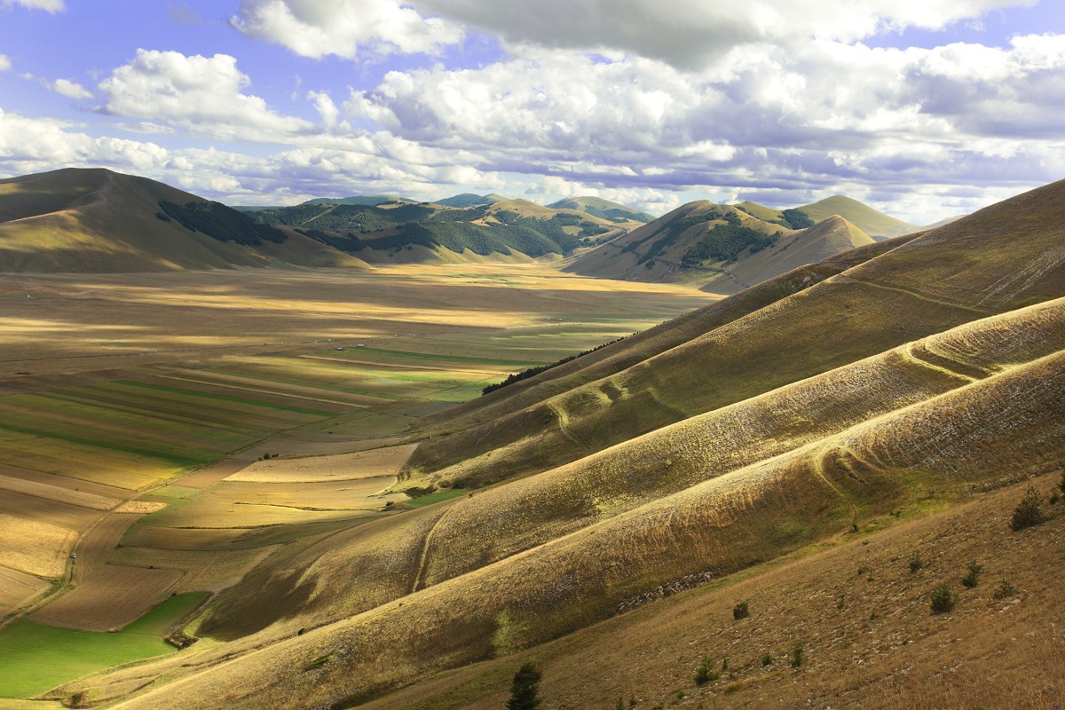 "Lights and Shadows"