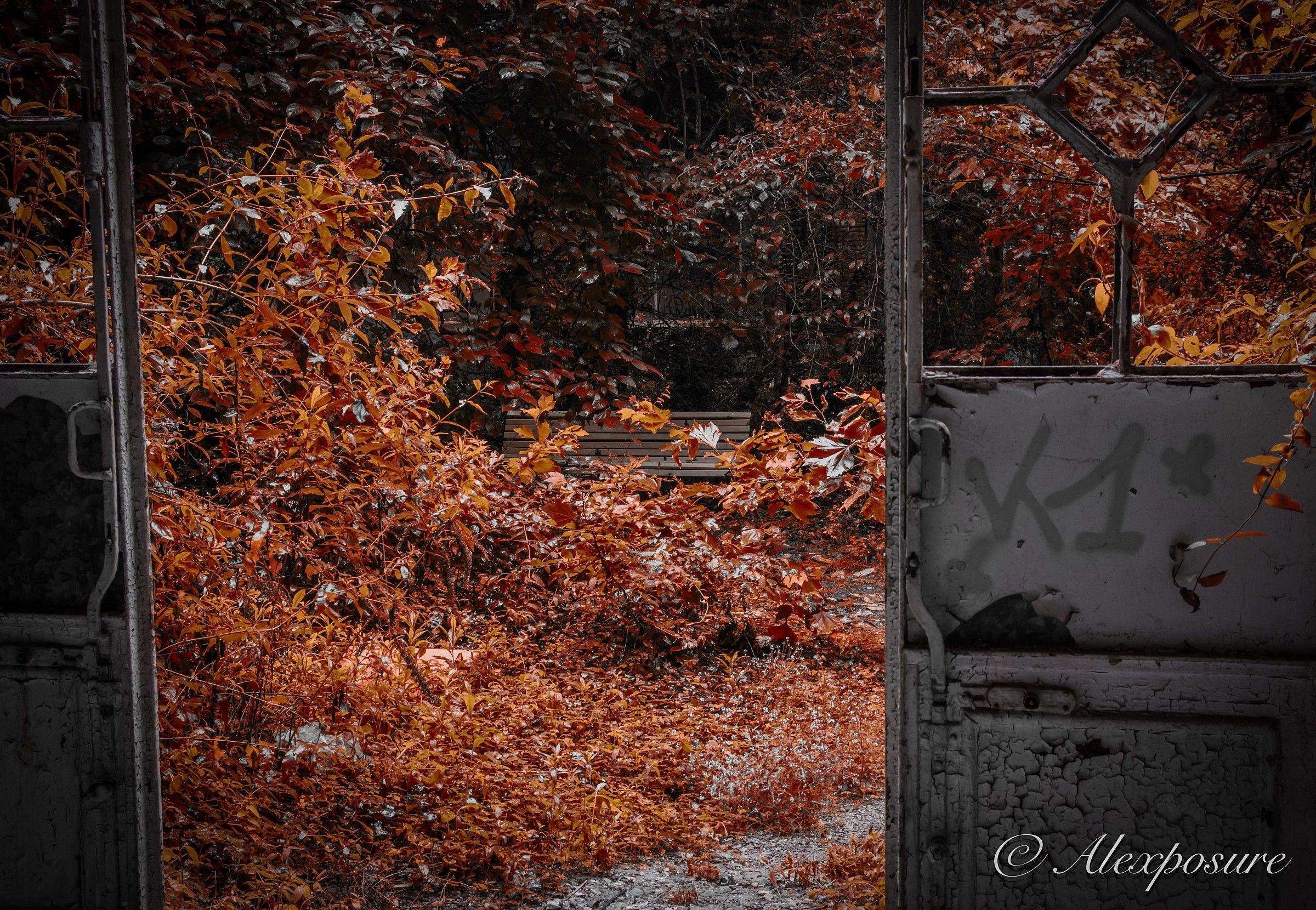 The forgotten garden bench