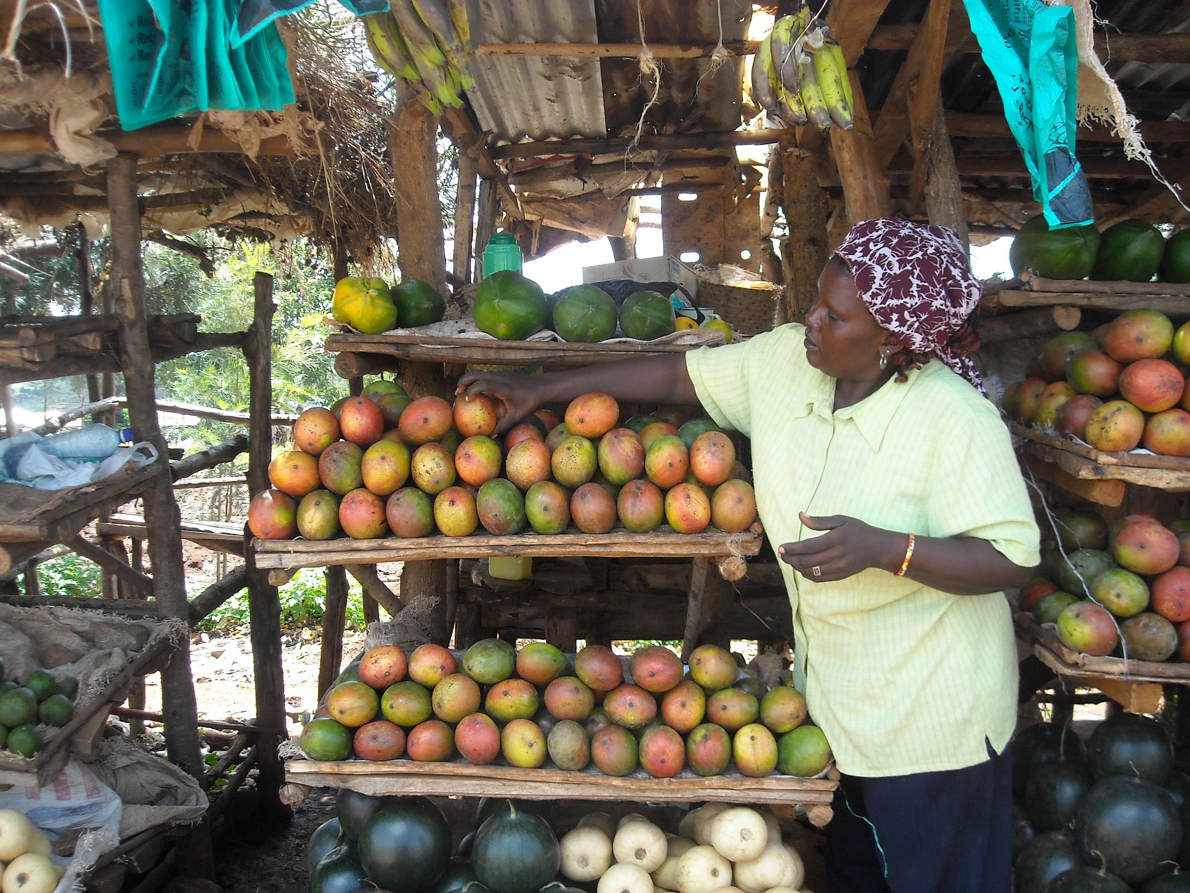 mangoes in Kenya