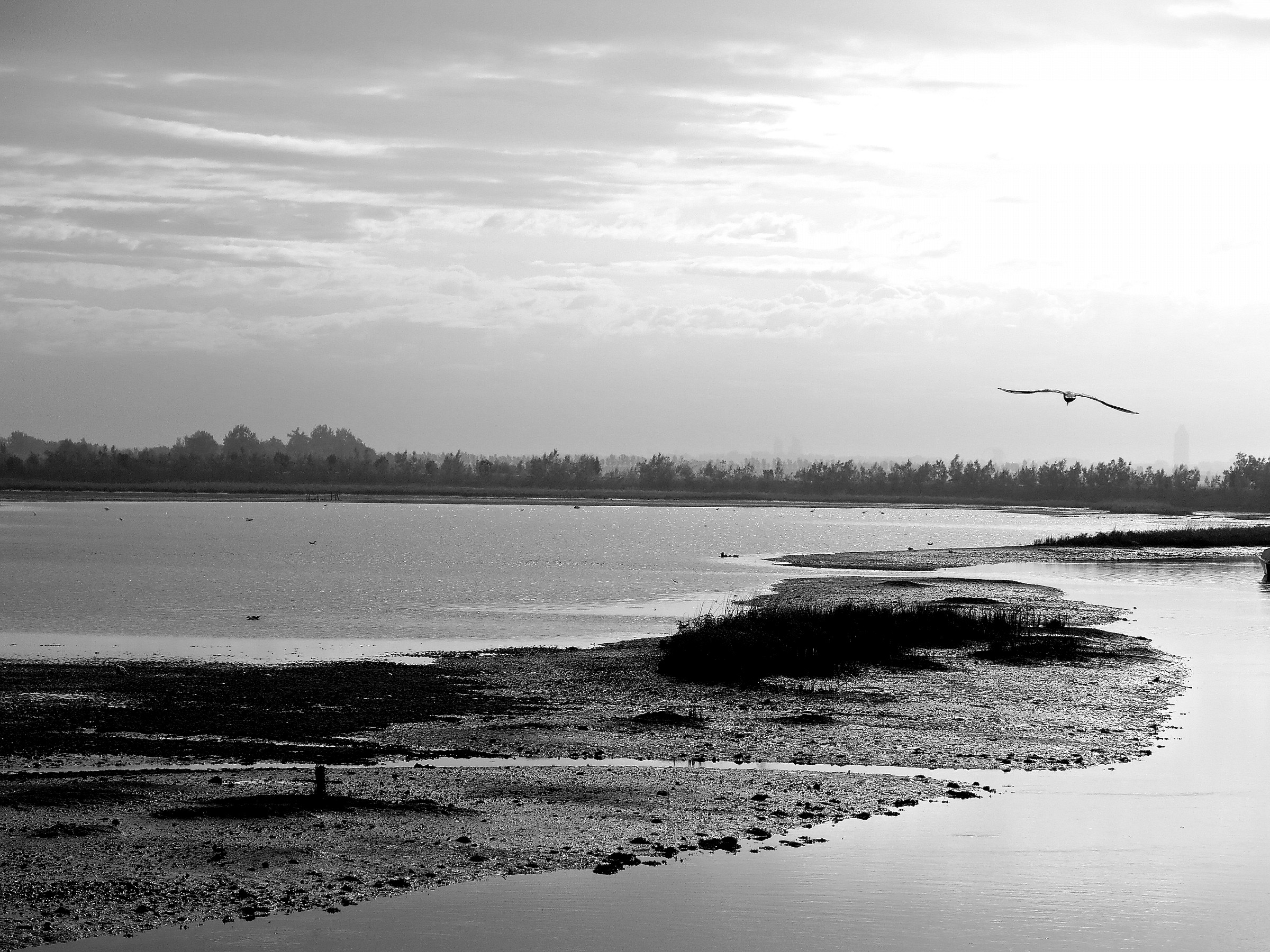 early in the morning: the lagoon