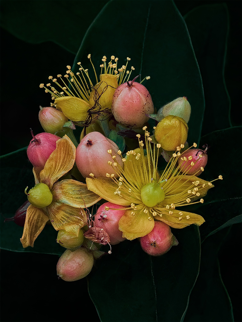 Un bouchet di fiori naturale