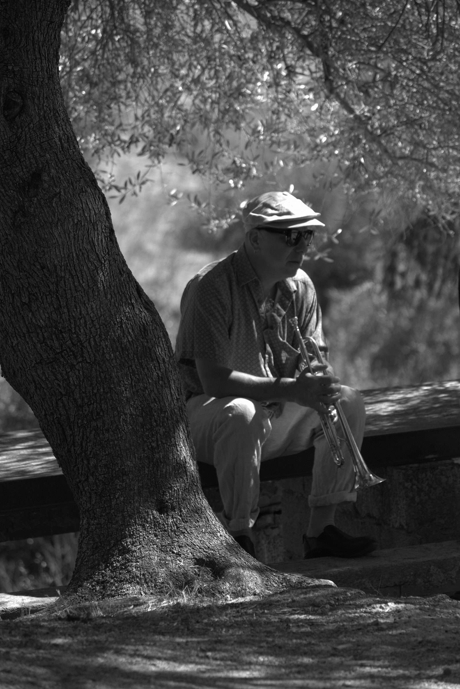 steven bernstein to bawl 2014