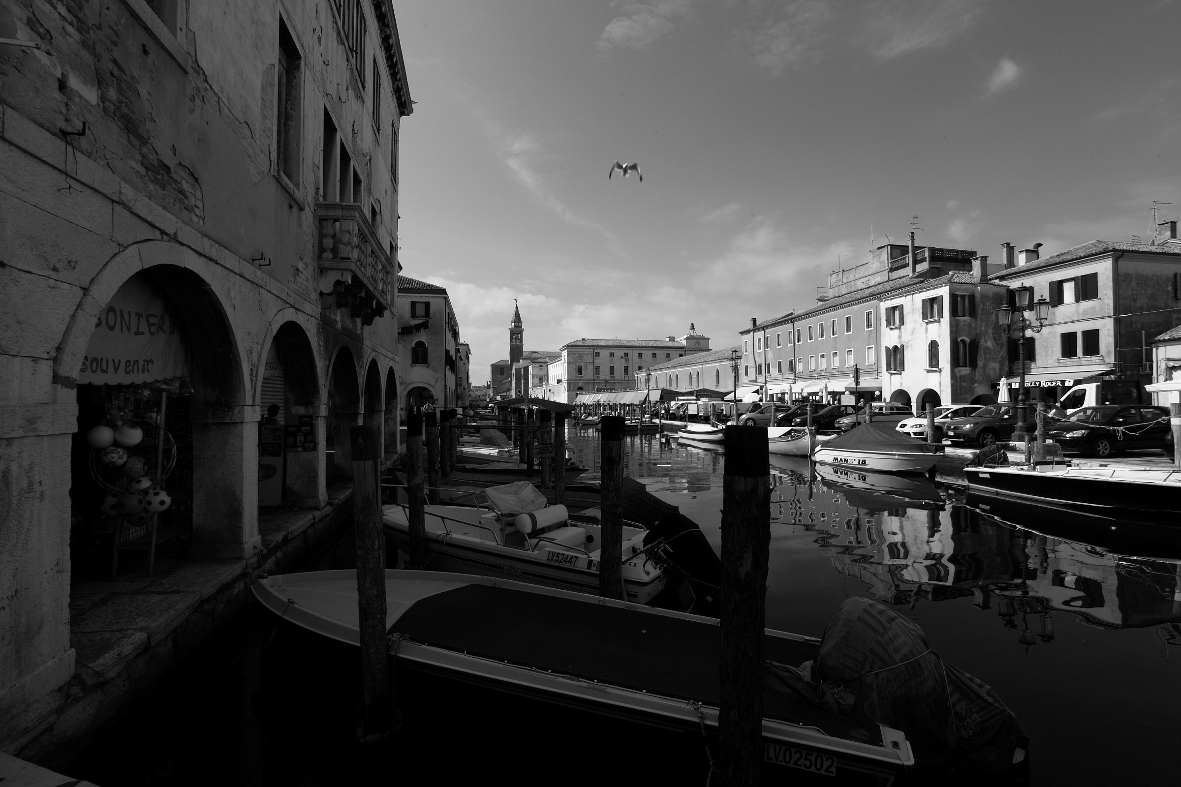 Chioggia