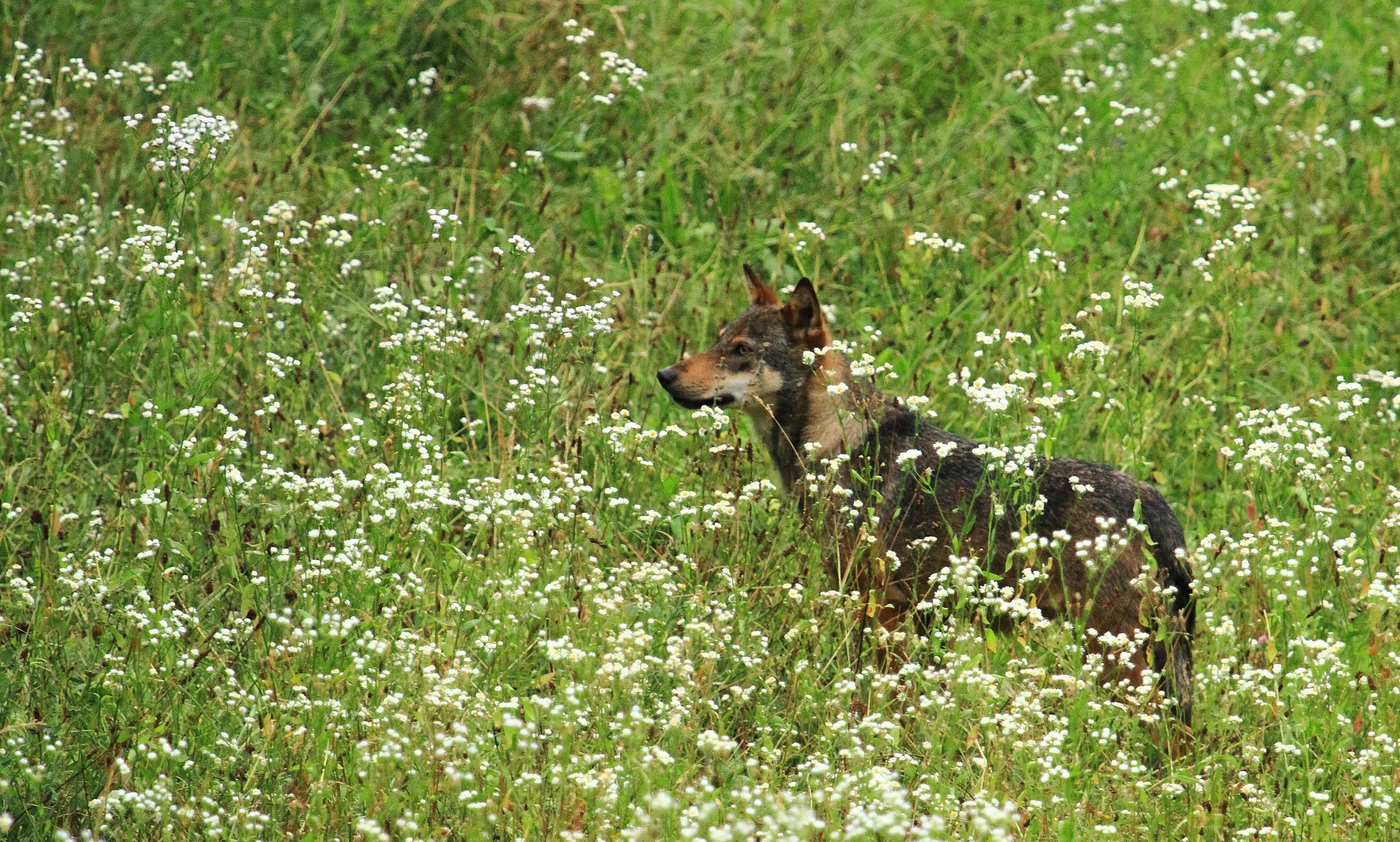 finalmente ti vedo!!