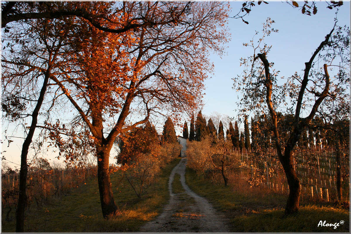 La via verso la fede