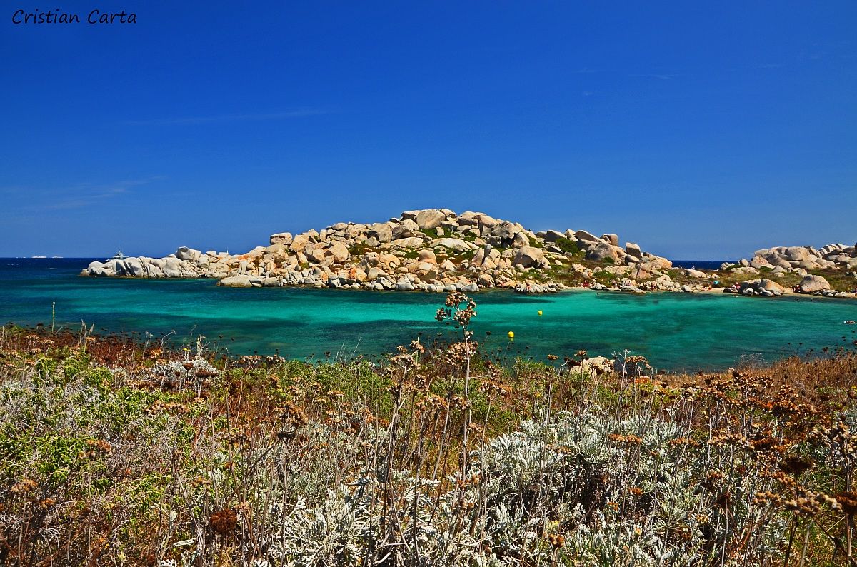 The island of Lavezzi