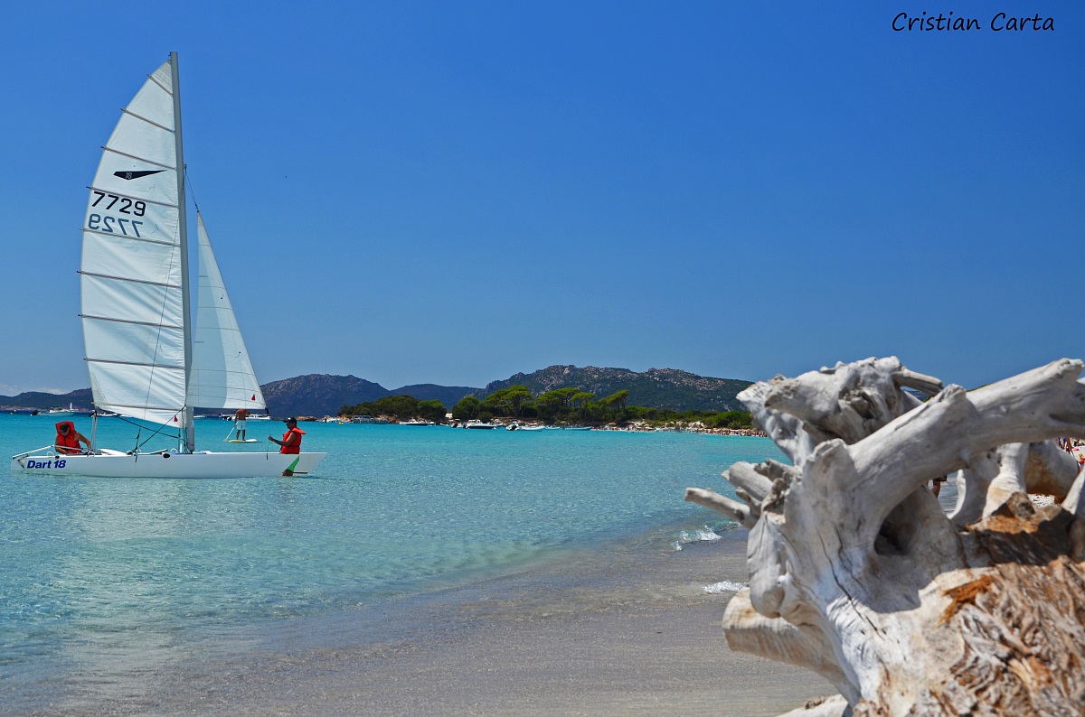 The palombaggia Corsica-3