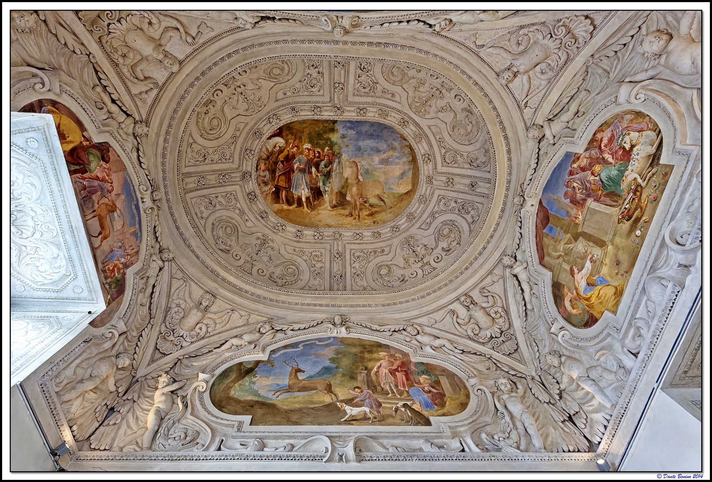 Stanza dei cervi famosi