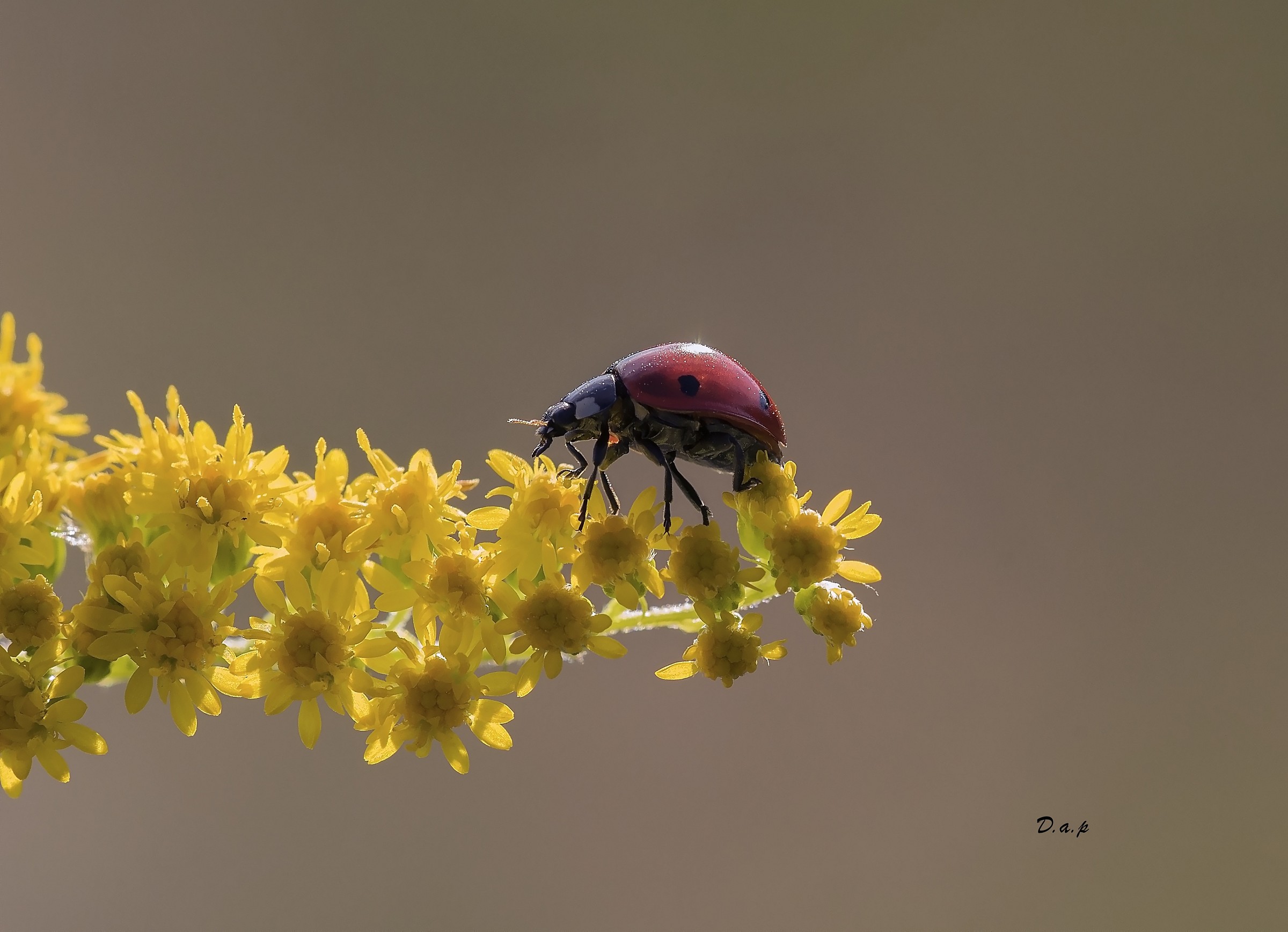 Walk to the "last of the sun