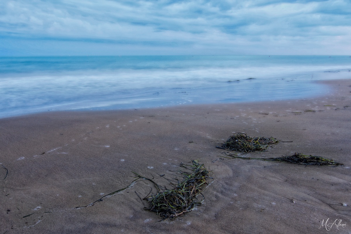 ultime sere d'estate